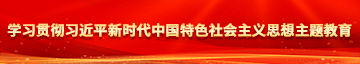 小穴靠逼视频学习贯彻习近平新时代中国特色社会主义思想主题教育